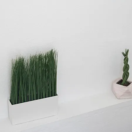 度假居 Capolavoro, Boutique With Unique Rooftop 斯基亚索斯镇